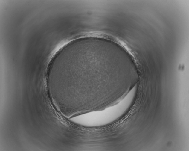 X0000096161312200801251118