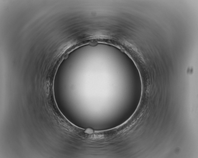 X0000096161313200801251118