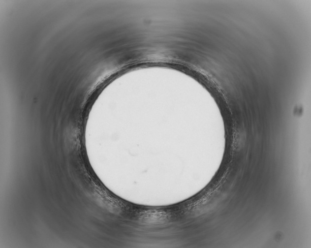 X0000096161314200801251118