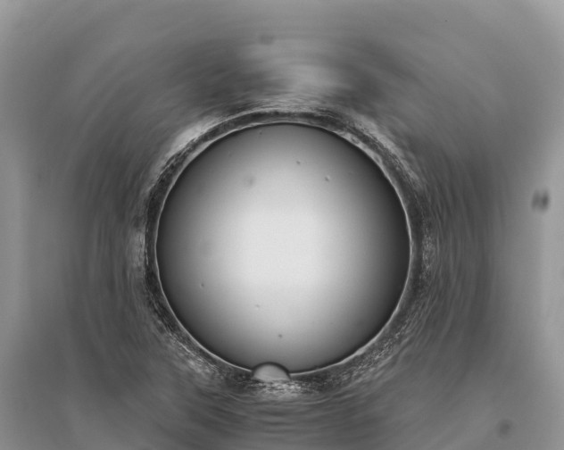 X0000096161315200801251118