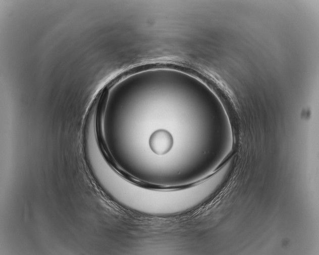 X0000096161316200801251118