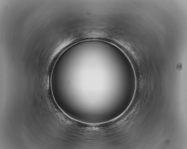 X0000096161317200801251118