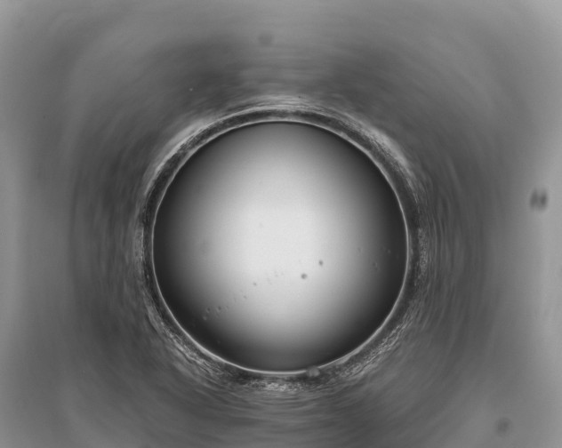 X0000096161318200801251119