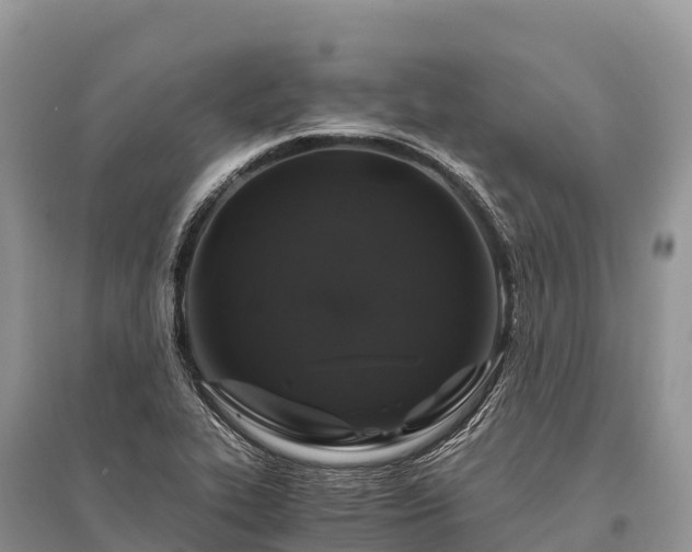 X0000096161319200801251119