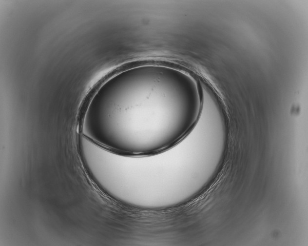 X0000096161320200801251119