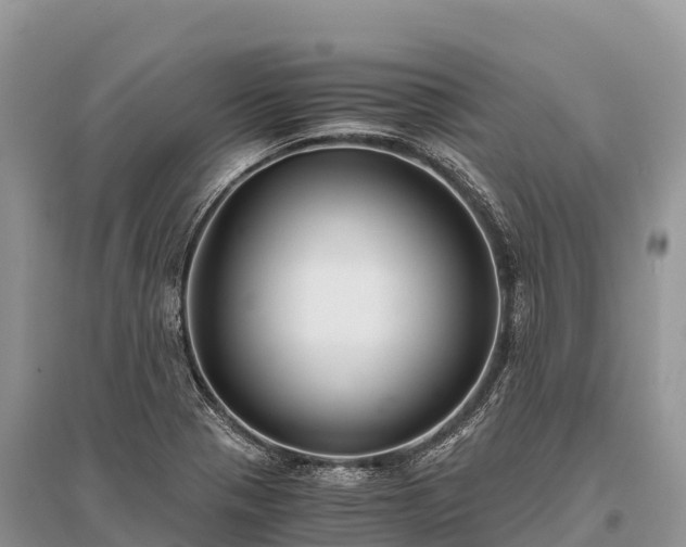 X0000096161321200801251119