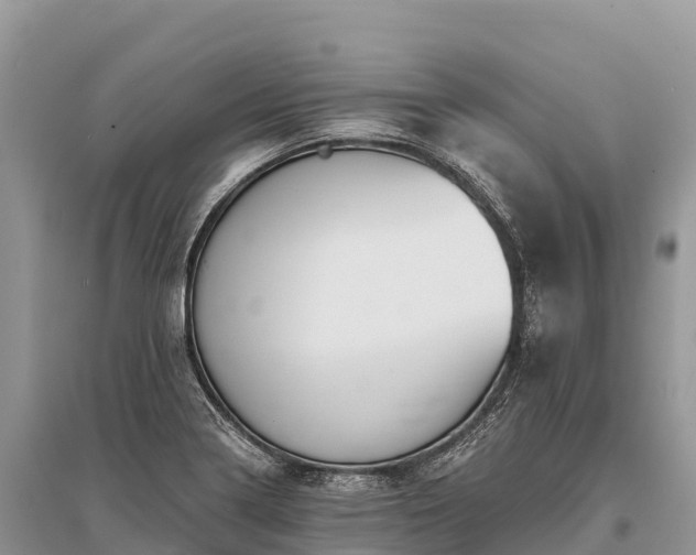 X0000096161322200801251119