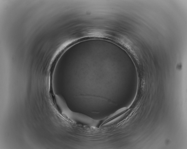 X0000096161323200801251119