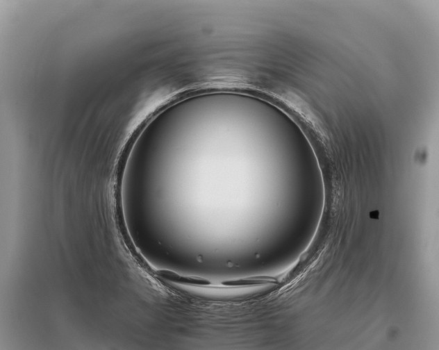 X0000096161325200801251119