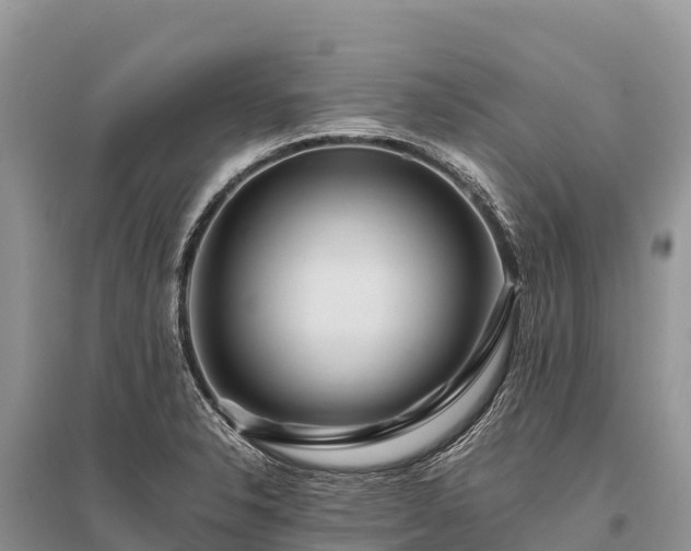 X0000096161326200801251119