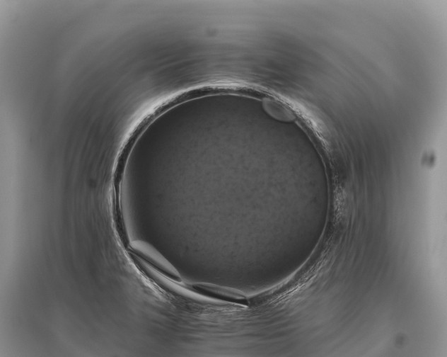X0000096161327200801251119
