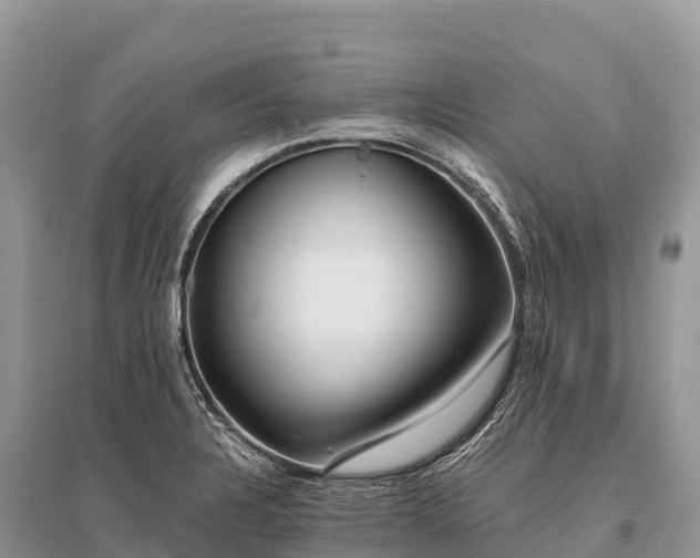 X0000096161328200801251119