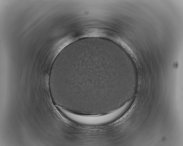 X0000096161329200801251119