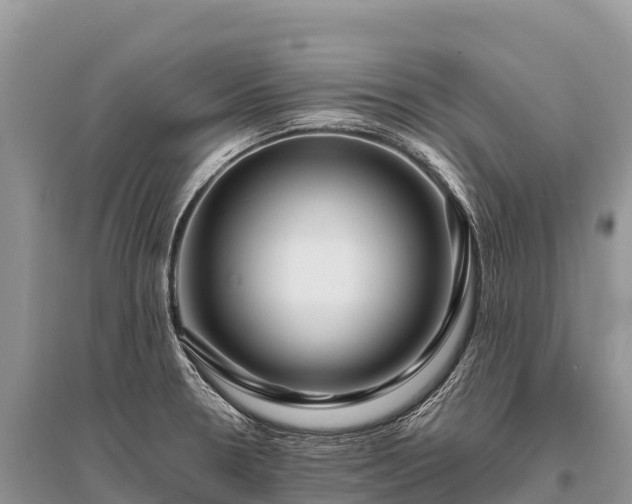 X0000096161330200801251119