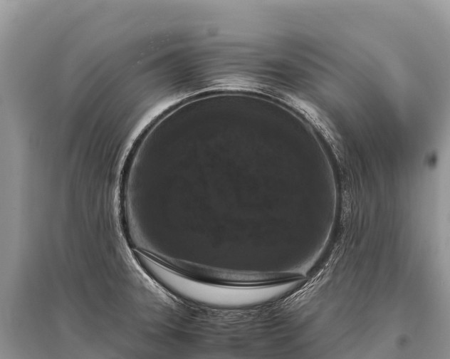 X0000096161331200801251119