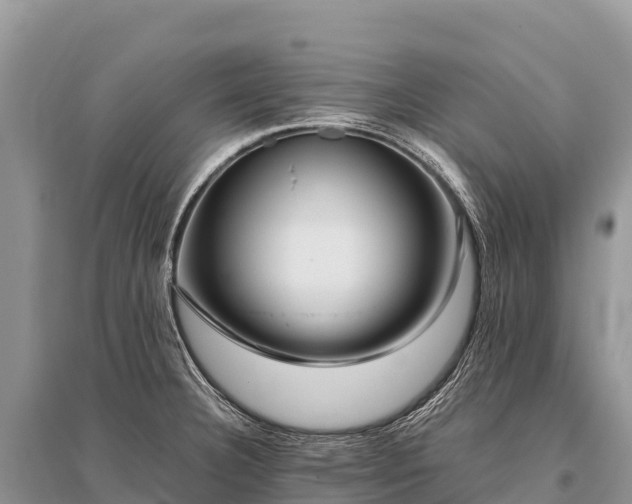 X0000096161332200801251119