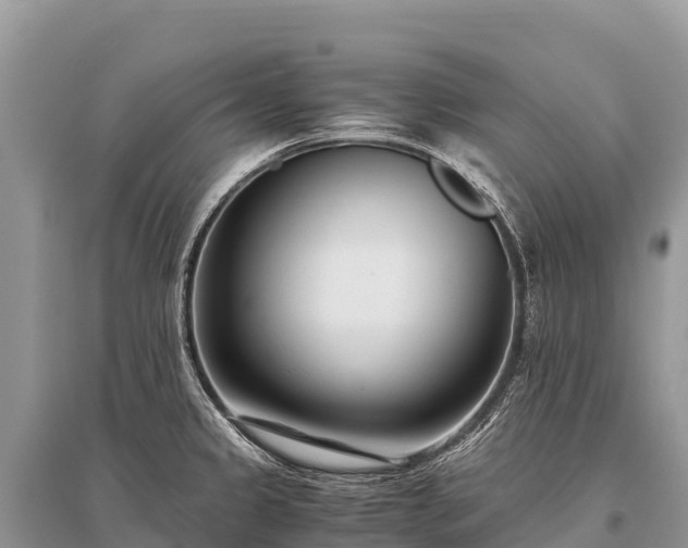 X0000096161333200801251119