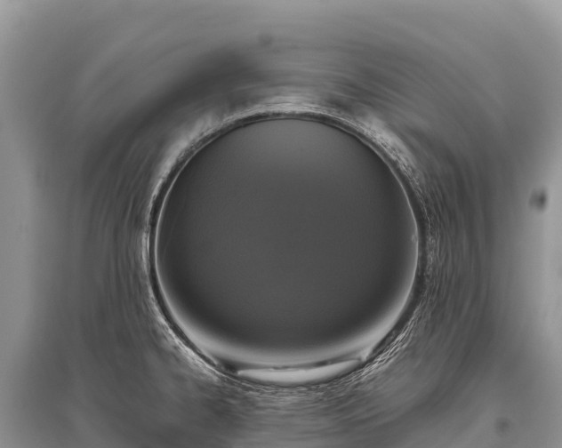 X0000096161334200801251119
