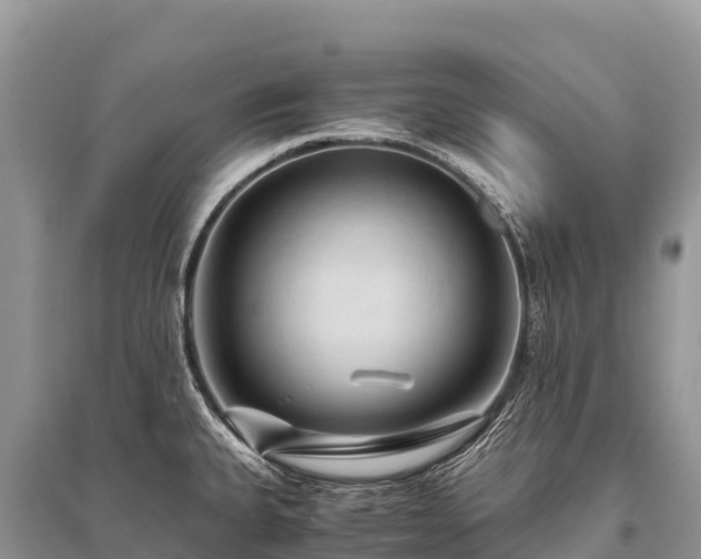X0000096161335200801251119