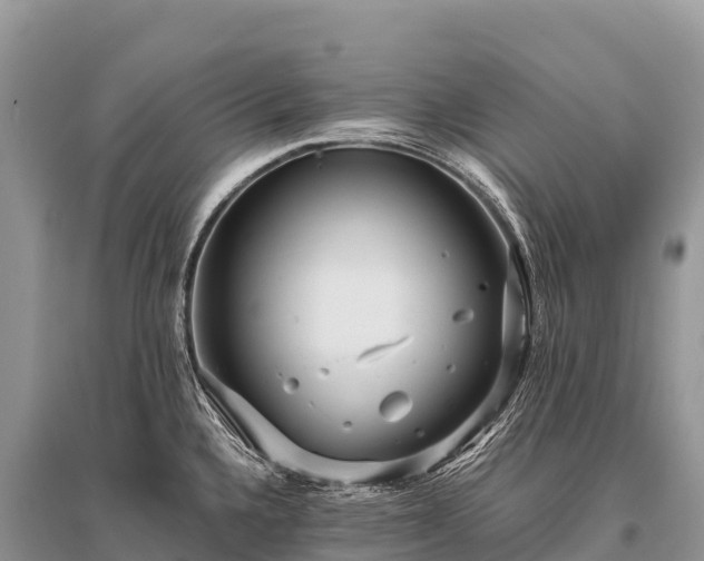 X0000096161336200801251119