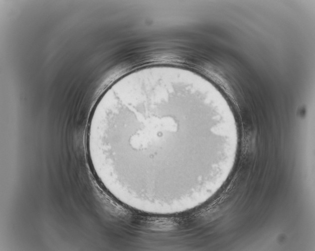 X0000096161338200801251119