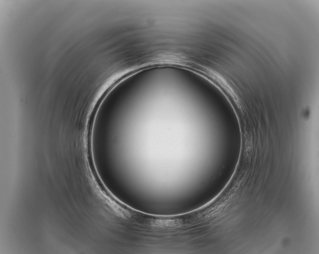 X0000096161339200801251119
