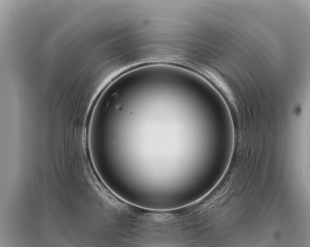X0000096161340200801251119