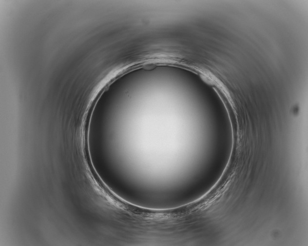 X0000096161341200801251119