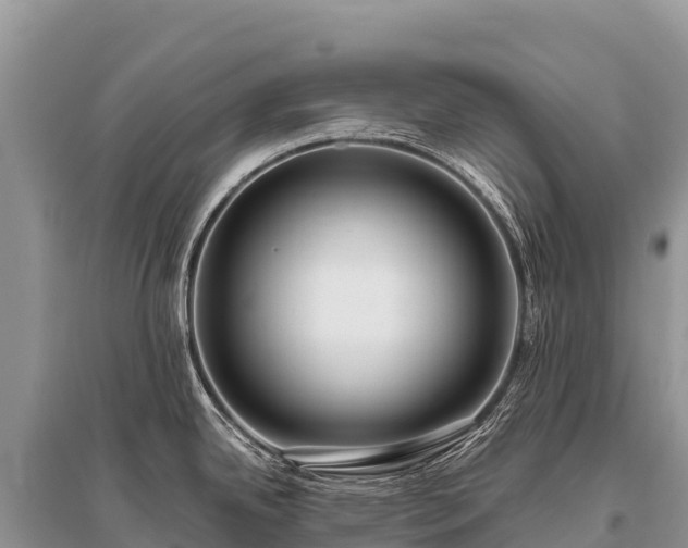X0000096161342200801251119