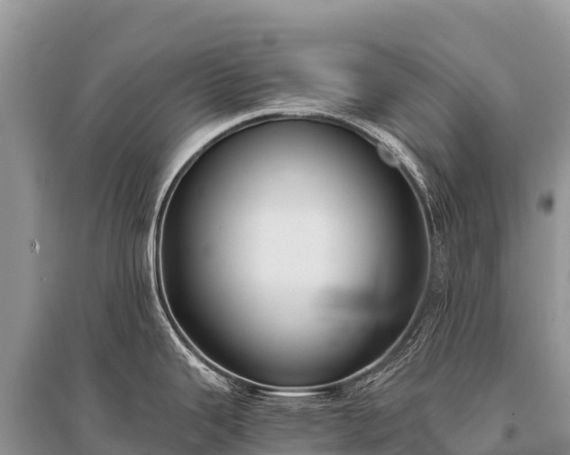 X0000096161343200801251119