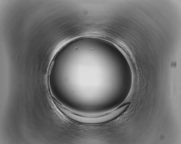 X0000096161344200801251119