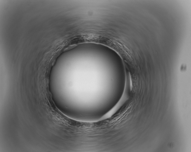 X0000096161345200801251118