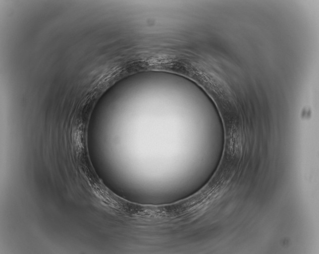 X0000096161346200801251118