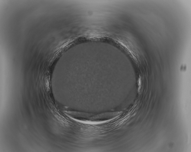 X0000096161348200801251118