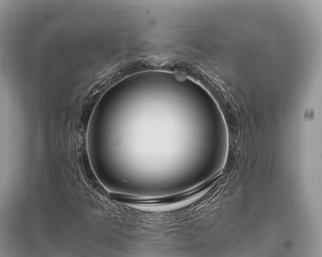 X0000096161349200801251118