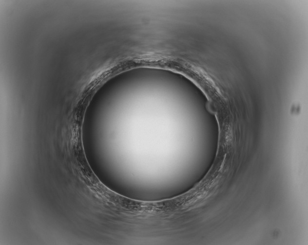 X0000096161350200801251118