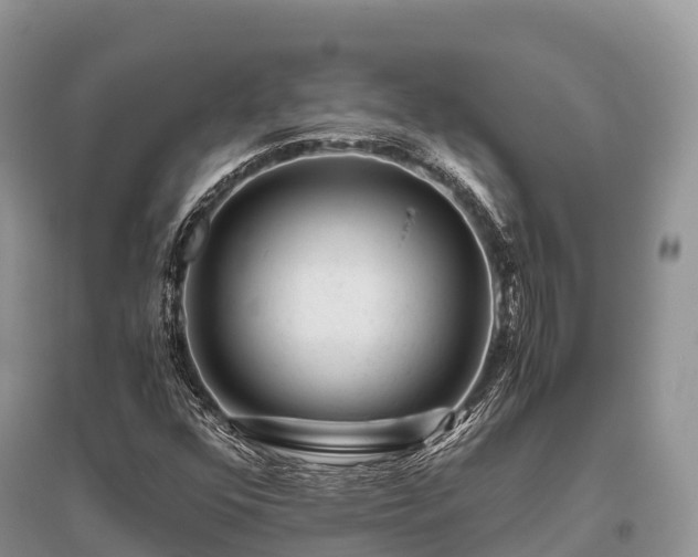 X0000096161352200801251118
