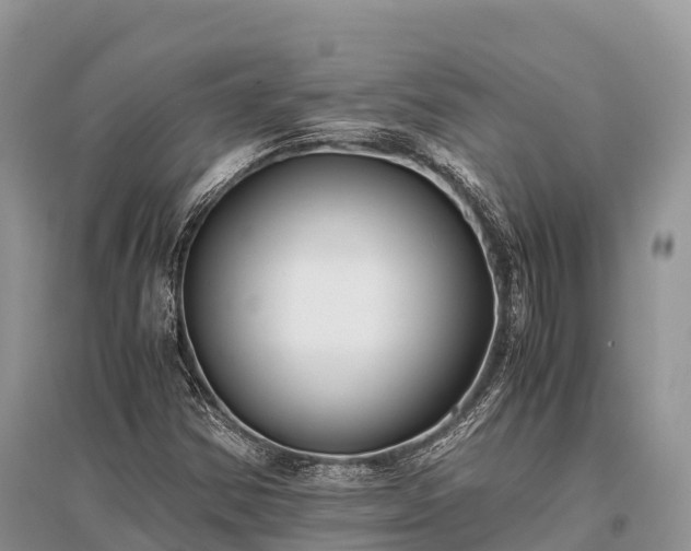 X0000096161354200801251118