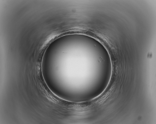 X0000096161355200801251118