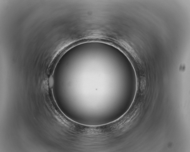 X0000096161356200801251118