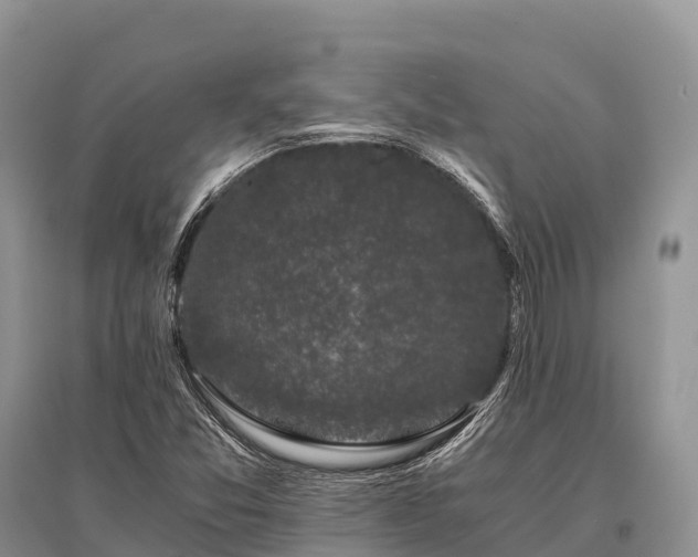 X0000096161357200801251118