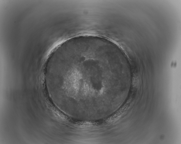 X0000096161359200801251118