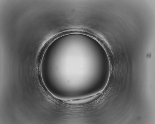 X0000096161360200801251118
