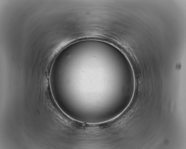 X0000096161363200801251118