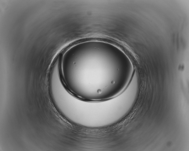 X0000096161364200801251118