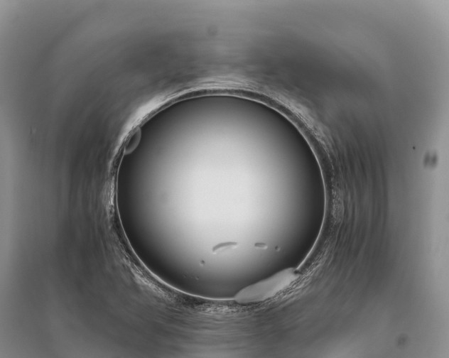 X0000096161366200801251118