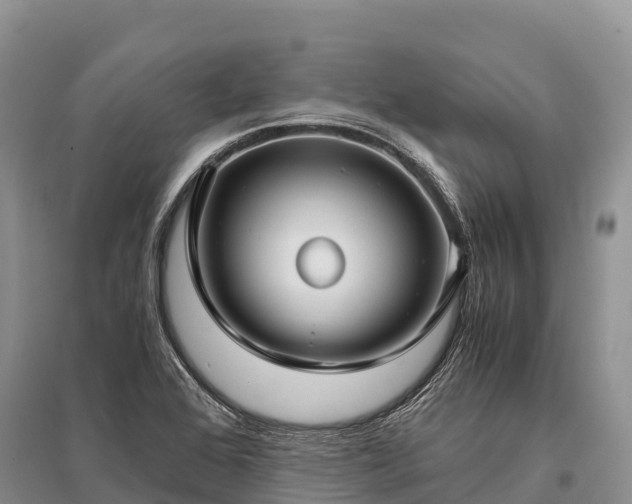 X0000096161368200801251118
