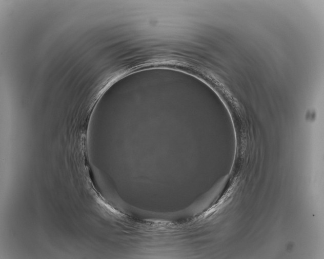 X0000096161369200801251118