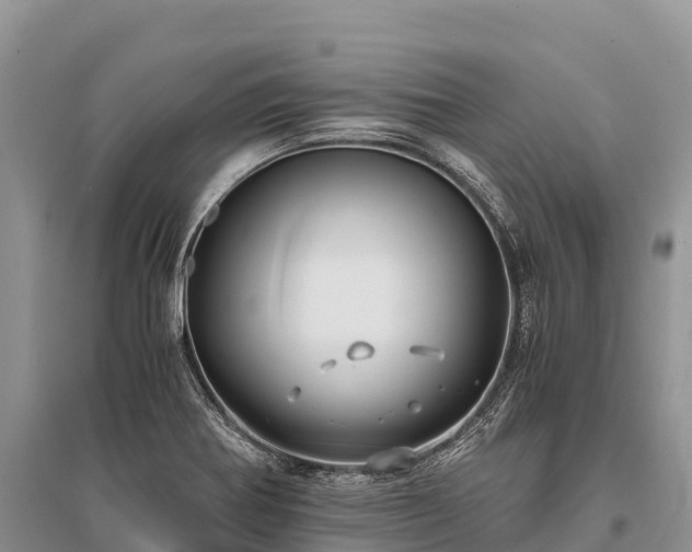 X0000096161370200801251118