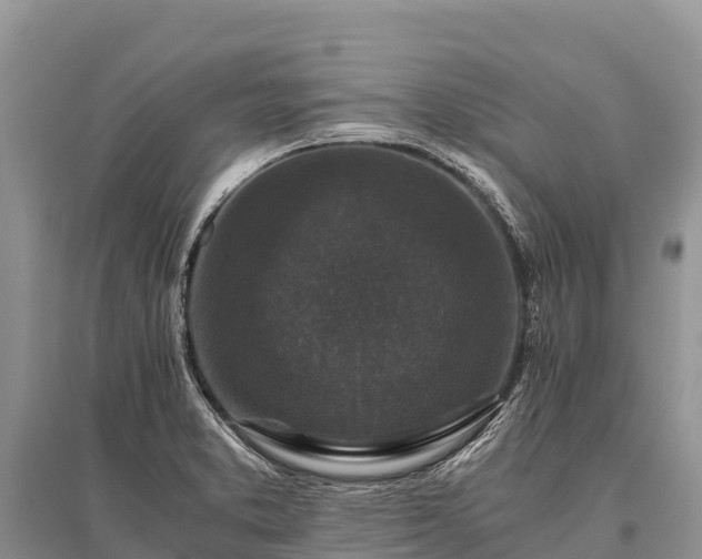 X0000096161373200801251118